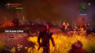 The Witcher 2, Just for fun, Pt.15