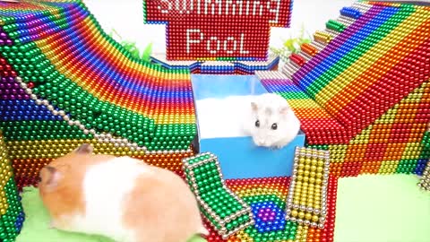 YP STUDIO - Hamster Playground Swimming Pool Water Slide With Magnetic Balls (Satisfying)