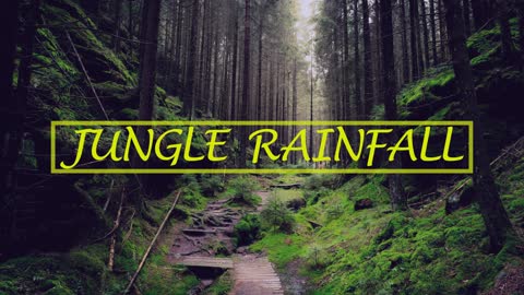 Jungle RAIN ambient to SLEEP | 2 HOURS