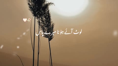 "Apna Sab Kuch Har Ka😓💞…"Sad Urdu Poetry🖤| With Quotzian #motivation #poetry #sadstatus #viral