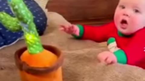 Cute babies playing with dancing cacutos