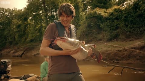 How do Catfish See the World? | Wonders of Life w/ Prof Brian Cox | BBC Earth