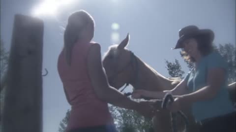 Hero horse leads young girl to safty from being lost in the forest ,pet horse,real wild,wild life