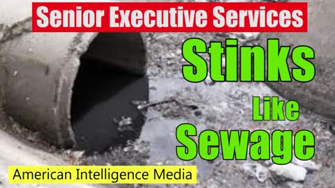 SES Stinks like Sewage April 2 2018