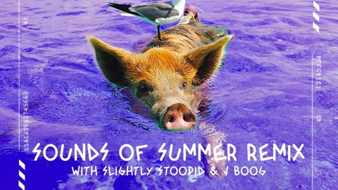 Sounds of Summer Remix Movement J-Boog Slightly Stoopid