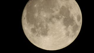 Amazing video of bats flying in front of the Full Moon!