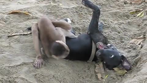 cute monkeys and puppy playing