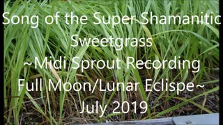 Song of the Super Shamanistic Sweetgrass