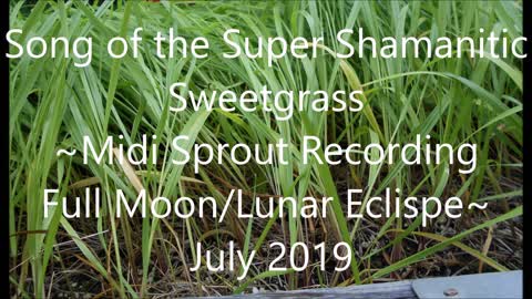 Song of the Super Shamanistic Sweetgrass