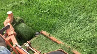 Slow-mo Grass Cutting