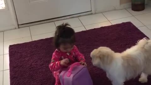 Dog don't want little girl go to school
