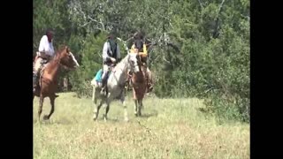 Horse Bucks Off Cowboy And Stares Him Down Afterwards