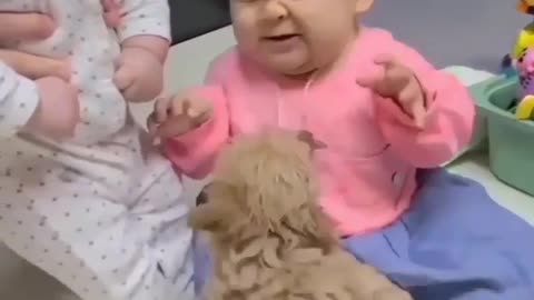 Baby funny videos