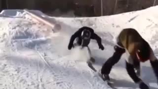 Snowboarder helmet accidentally nutshots snowboarder grinding rail