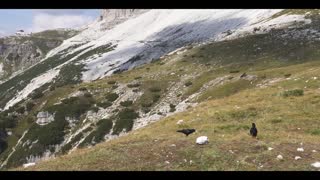 Drei Zinnen - Solo hiking Dolomites Italy