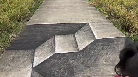 Wow_3D Drawing
