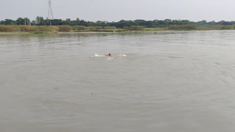 Swimming in the River