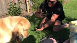 Dog brings owner a beer