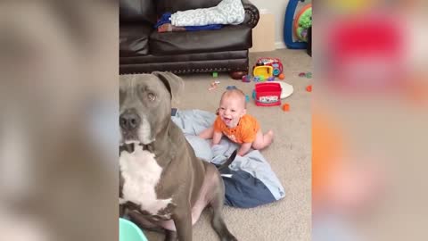 Babies and Dogs - The cutest thing ever!!