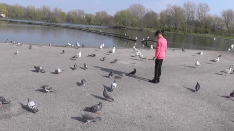 Feeding The Cute Birds