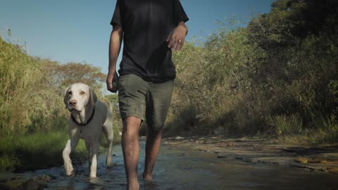 Person and dog walk in a creek