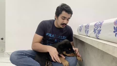 HOW TO STOP PUPPY BITING DOG TRAINING IN HINDI 2022