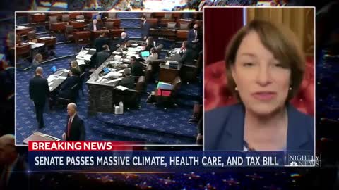 Democratic Healthcare, Economic, And Climate Bill Passed