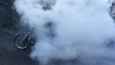 Harley Burnout