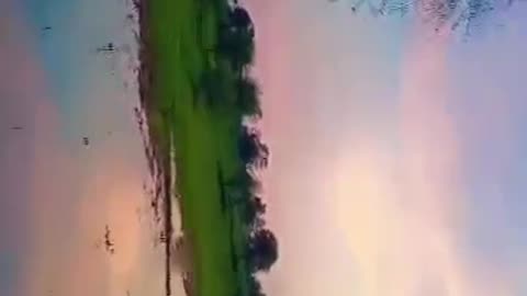 nature video