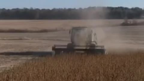 Soybean Harvest 2023: Drone Footage