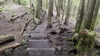 Descending the Trail – Sahalie Falls & Koosah Falls Loop – Central Oregon – 4K