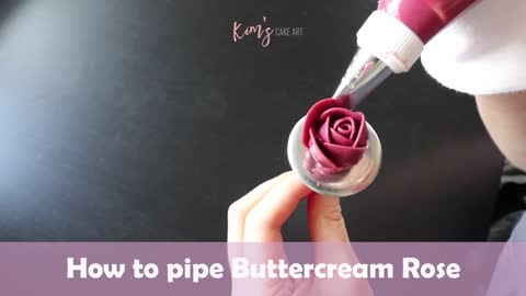 How to pipe buttercream Rose │ Korean Buttercream Flower(1)