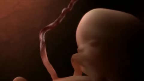 ► Le miracle de la vie (simulation 3D d'une grossesse)simulation 3D d'une grossesse