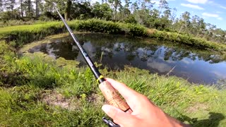 Bass fishing in clear water.