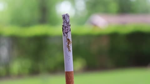How Smoking Just 1 CIGARETTE Affects Your Lungs ● You Must See This !
