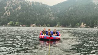 Boat Life Loving Pup