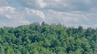 Chimney top rock