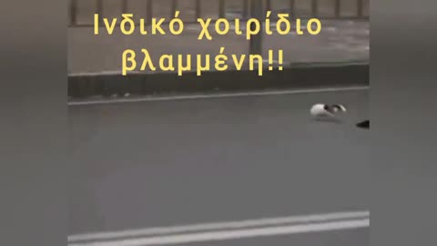 Δημοσιογραφια της χεστρας