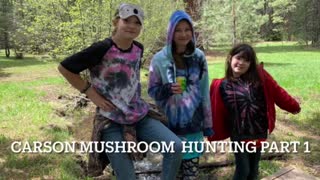 Carson Mushroom Hunting part 1