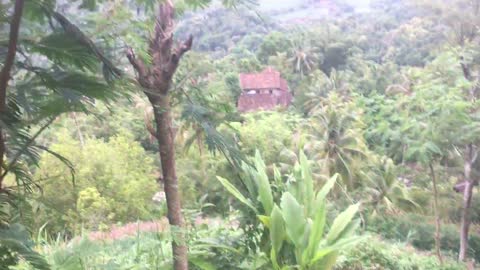 Alone Mountain Climbing of Yogyakarta