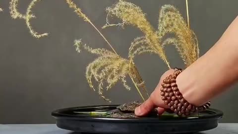 A bonsai made of reeds