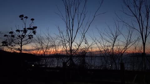 Sunset, sky, sea and trees