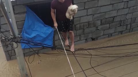 Pets Rescued From Fierce Flooding