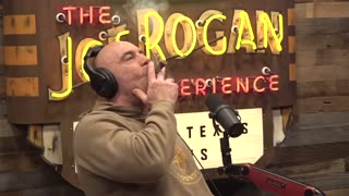 Joe Rogan Why Would You Wanna Move To Canada