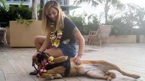 Military Working Dog retires and is reunited with former handler