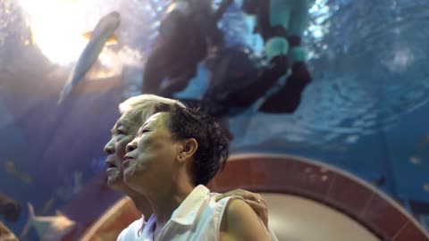 Asian Senior Elder Dating In Fish Aquarium Enjoy Aquarium Tunnel With Divers Working Background