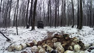 Removing Spent Mushroom Blocks