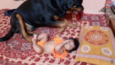 Jerry and Aaru are made for each other.Dog protecting baby