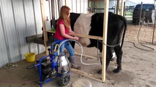 Oreo and milk? Nah, just Milking Oreo