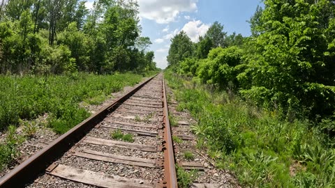 On The Train Track Of Life, Let Curiosity Be Your Compass.